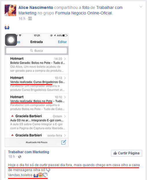 Fórmula Negócio Online funciona
